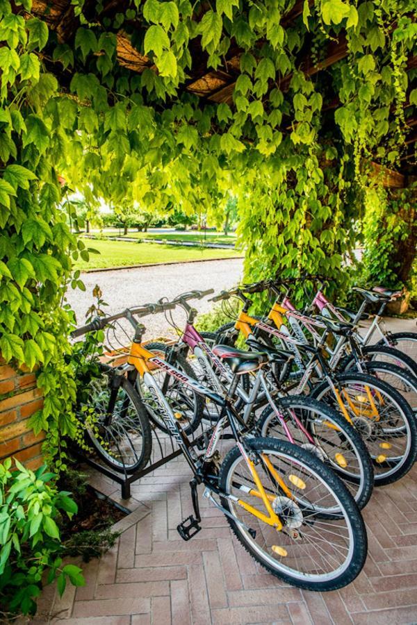 Agriturismo Tenuta Regina - Glamping Luxury Lodges And Apartments パラッツォーロ・デッロ・ステッラ エクステリア 写真