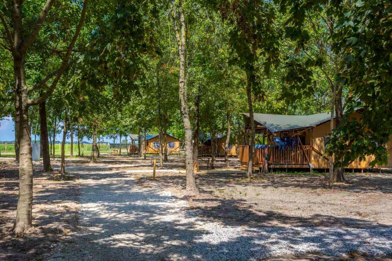 Agriturismo Tenuta Regina - Glamping Luxury Lodges And Apartments パラッツォーロ・デッロ・ステッラ エクステリア 写真